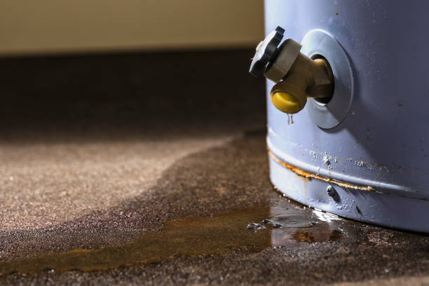 Best Flood restoration services  in Ridgemark, CA