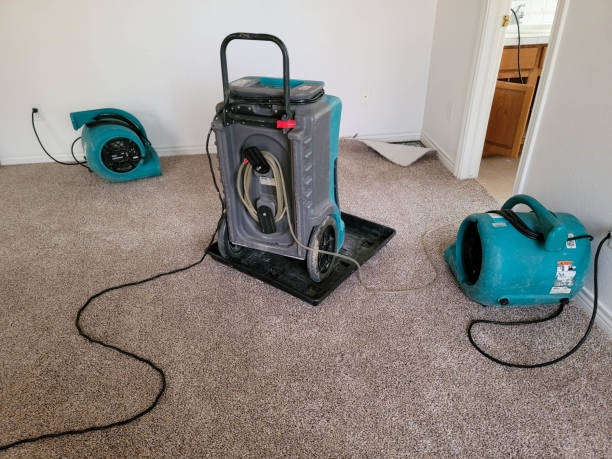 Best Professional water damage repair  in Ridgemark, CA