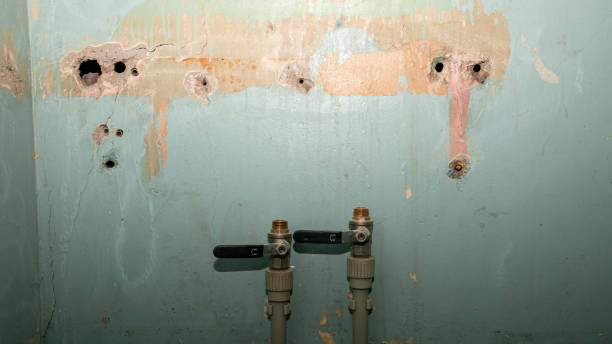 Best Local water damage restoration  in Ridgemark, CA