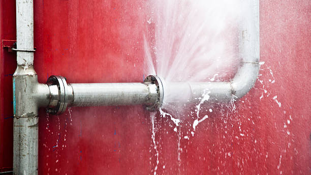 Best Water damage contractors near me  in Ridgemark, CA